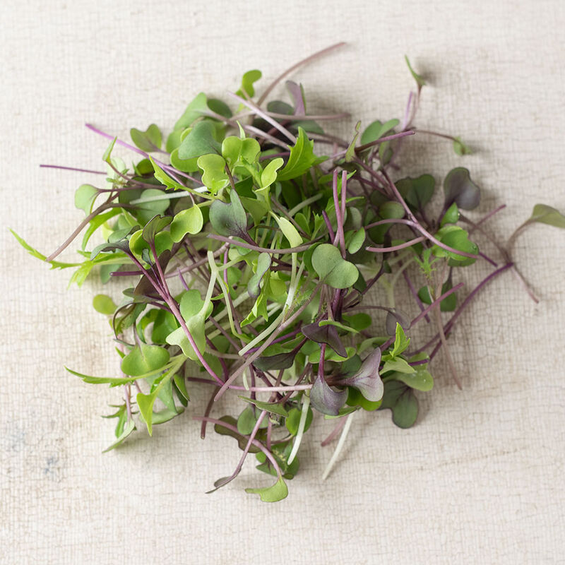 Mix suave microgreens