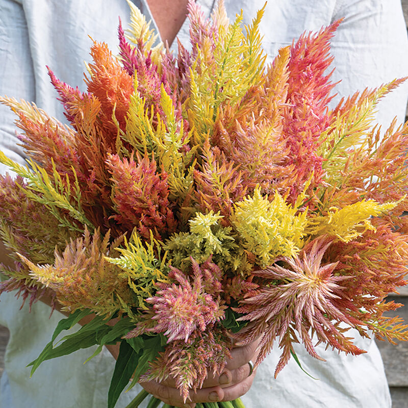 Flor comestible Shimmer pastel